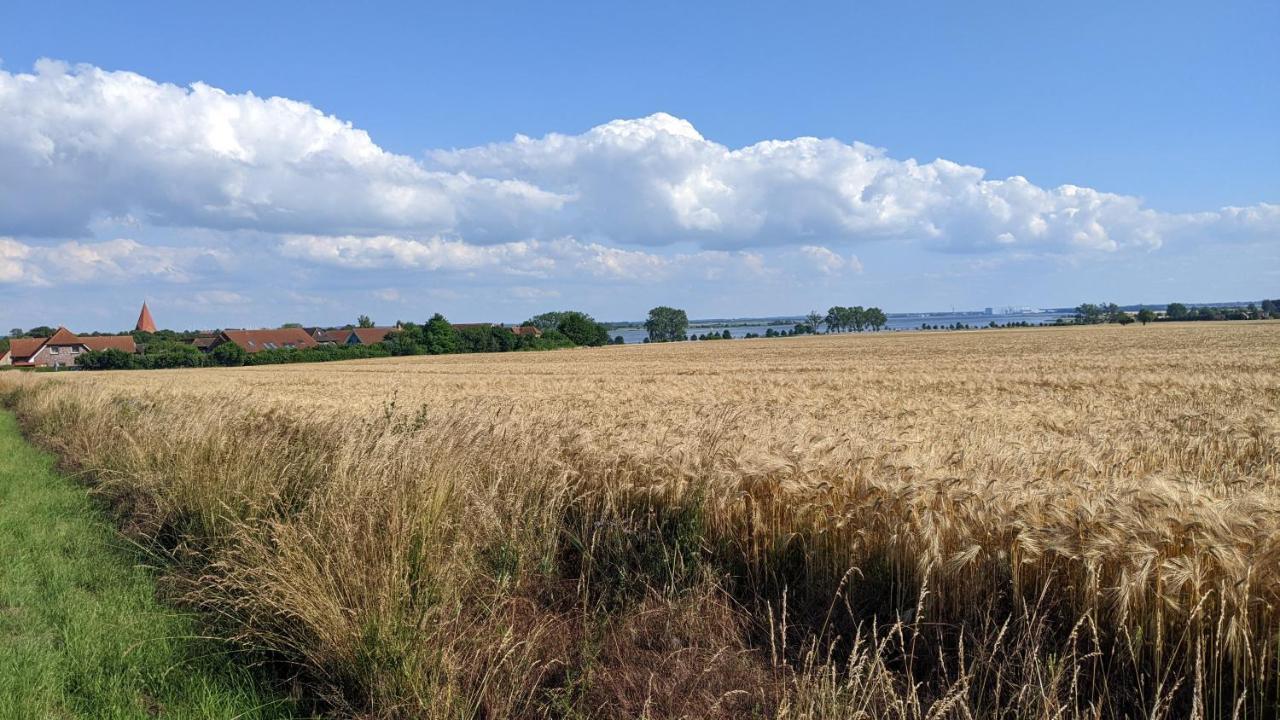 Apartamento Ferien Auf Der Insel Poel Kirchdorf  Exterior foto